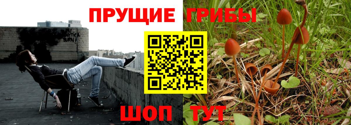 Грязи  Псилоцибиновые грибы мицелий  Вход с VPN 