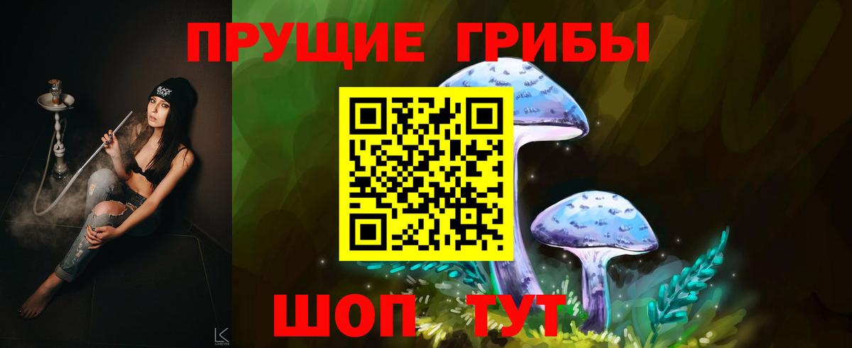 Псилоцибиновые грибы GOLDEN TEACHER Грязи